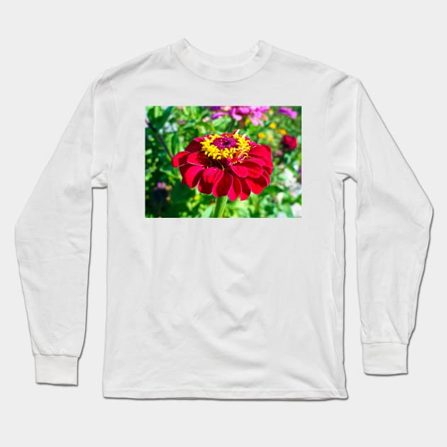 Zinnia Study 4 Long Sleeve T-Shirt by bobmeyers